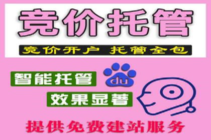 百度推广实战案例：提升网站流量技巧